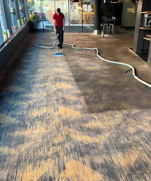 carpet and upholstery cleaning