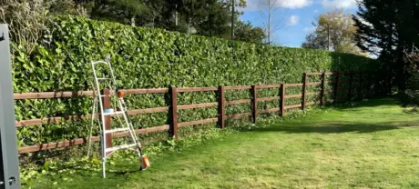 How Exterior Maintenance Improves Safety and Curb Appeal