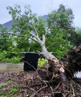 Emergency Response Services