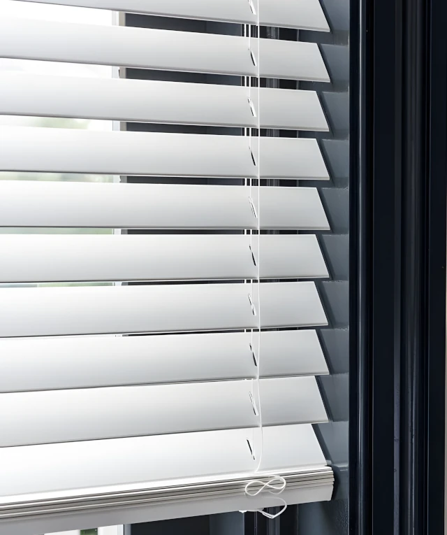 Blinds Cleaning