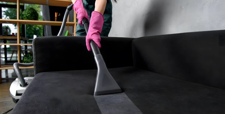 Carpet and Upholstery