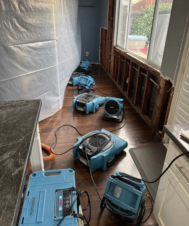 Flood Restoration