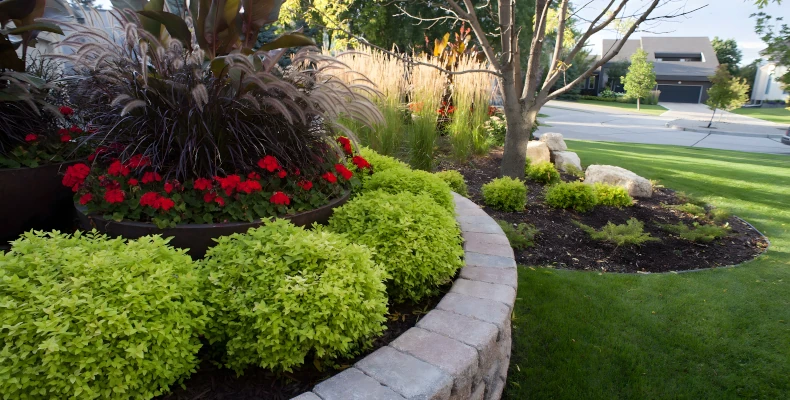 Lawn Care and Landscaping