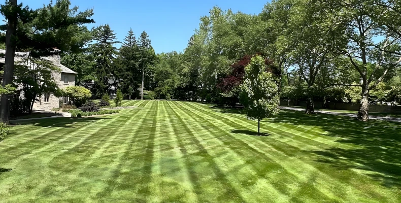 Lawn Care and Landscaping