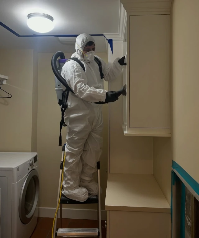 Mold Remediation