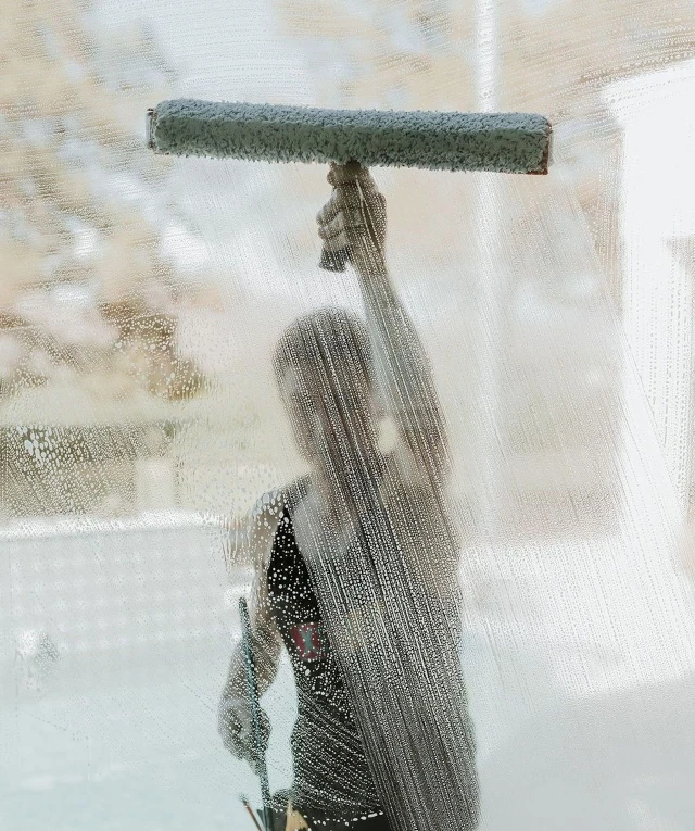Window Washing